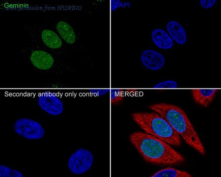 HUABIO HA722239 image 2