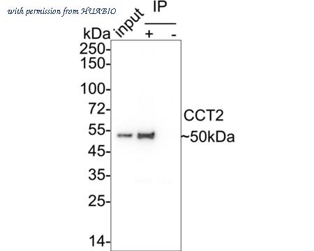 HUABIO HA722240 image 2