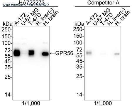 HUABIO HA722273 image 1