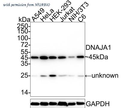 HUABIO HA722276 image 1