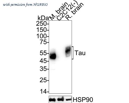 HUABIO HA722288 image 2