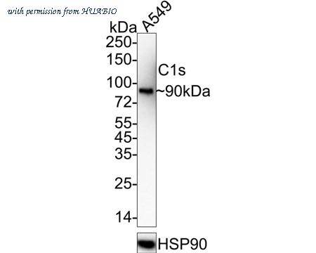 HUABIO HA722292 image 1