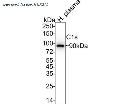 HUABIO HA722292 image 2