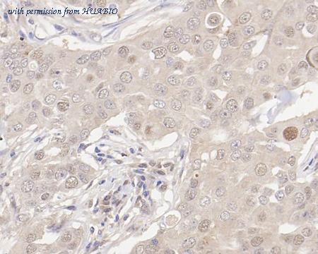 HUABIO HA722307 image 3