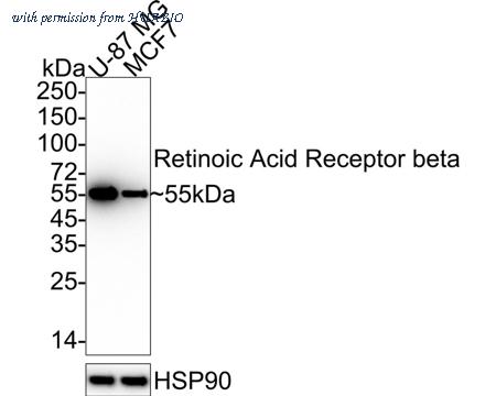 HUABIO HA722308 image 1