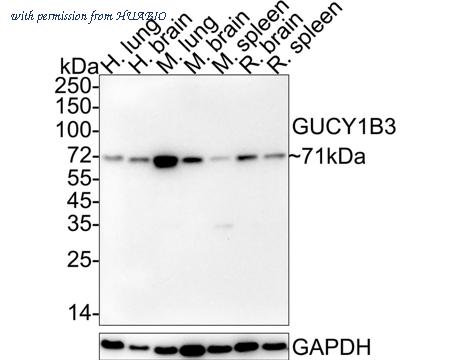 HUABIO HA722314 image 1