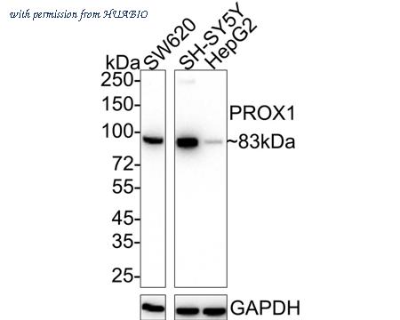 HUABIO HA722318 image 1