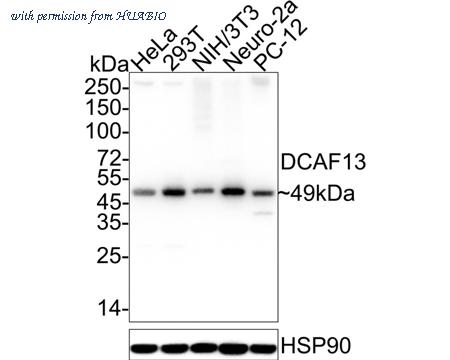 HUABIO HA722352 image 1