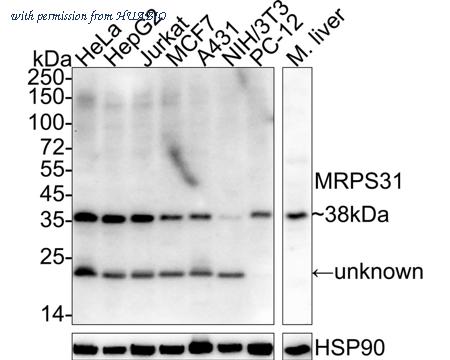 HUABIO HA722359 image 1