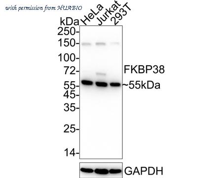 HUABIO HA722405 image 1
