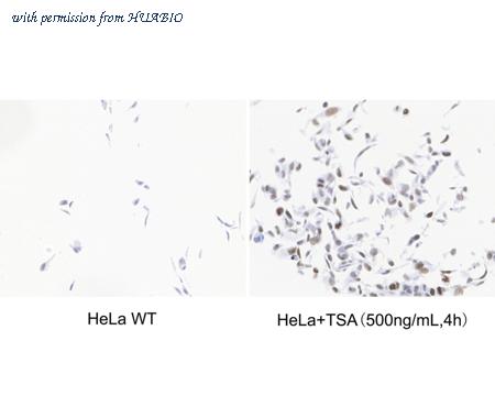 HUABIO HA722415 image 2