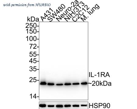 HUABIO HA722446 image 1
