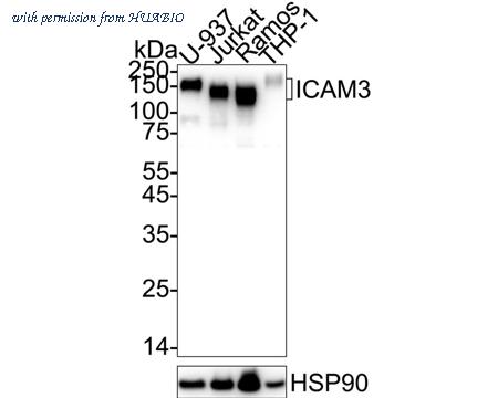 HUABIO HA722467 image 1