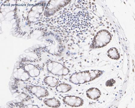 HUABIO HA722474 image 3