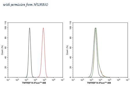 HUABIO HA722501 image 3