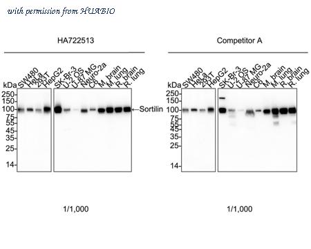 HUABIO HA722513 image 1