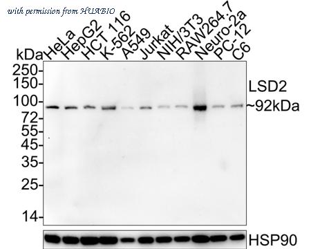 HUABIO HA722515 image 1