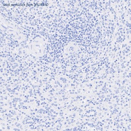 HUABIO HA722519 image 3