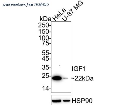 HUABIO HA722527 image 1