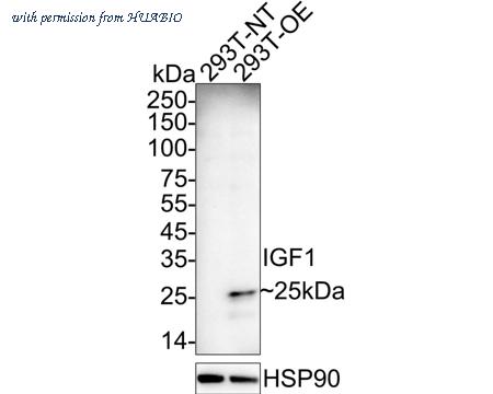 HUABIO HA722527 image 2