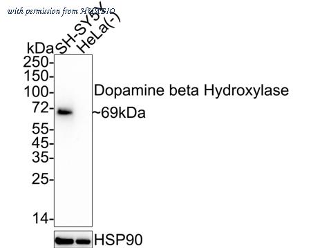 HUABIO HA722558 image 1