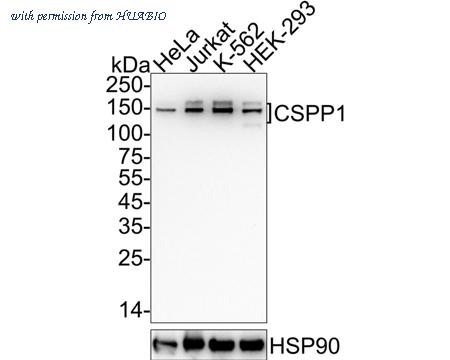 HUABIO HA722663 image 1