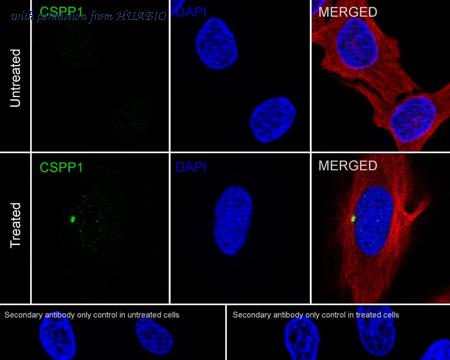 HUABIO HA722663 image 2