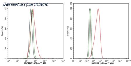 HUABIO HA722671 image 3