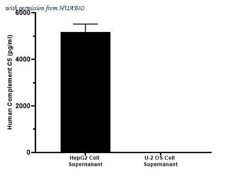HUABIO HA722684B image 3