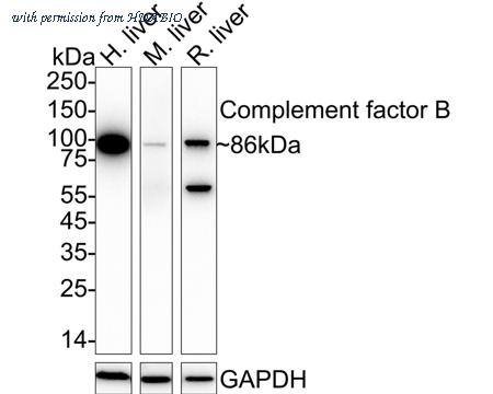 HUABIO HA722704 image 1