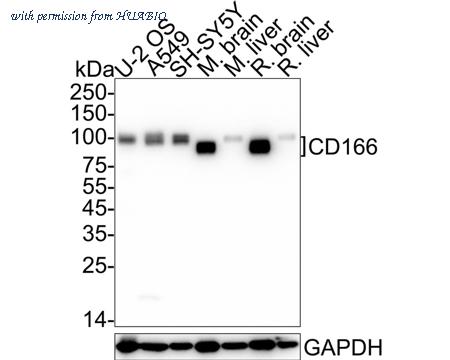 HUABIO HA722705 image 1