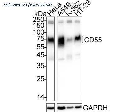 HUABIO HA722724 image 1