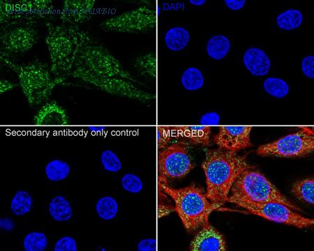 HUABIO HA722727 image 3