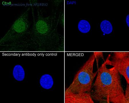 HUABIO HA722734 image 3