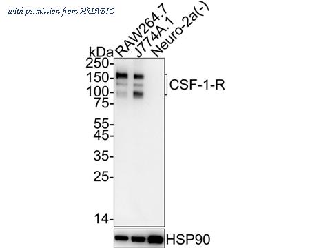 HUABIO HA722742 image 1