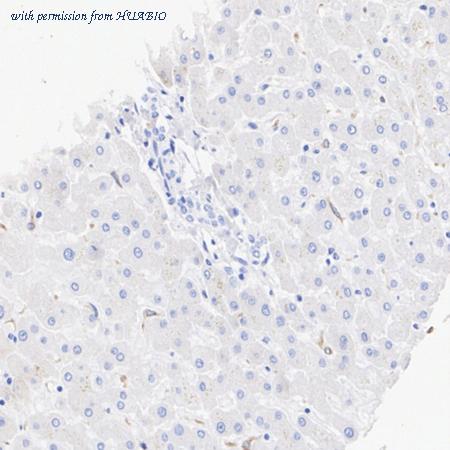 HUABIO HA722752 image 3