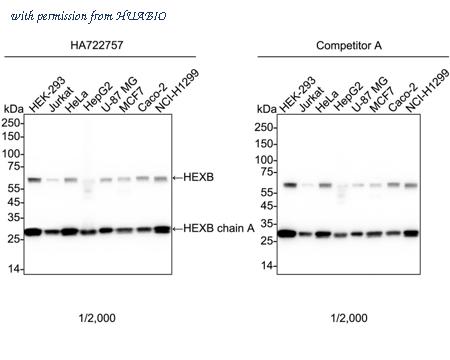 HUABIO HA722757 image 1