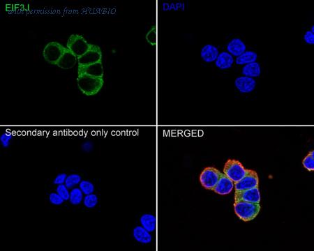 HUABIO HA722775 image 2