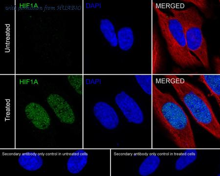 HUABIO HA722778 image 2