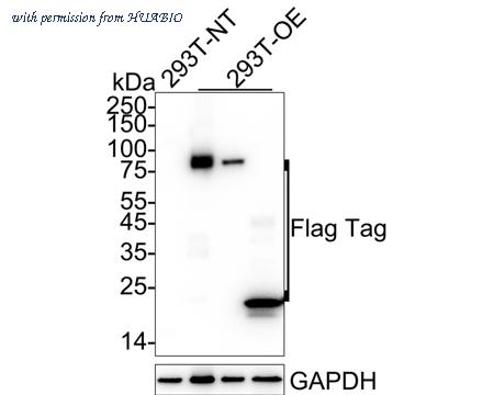 HUABIO HA722780 image 1