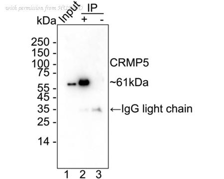 HUABIO HA722782 image 2