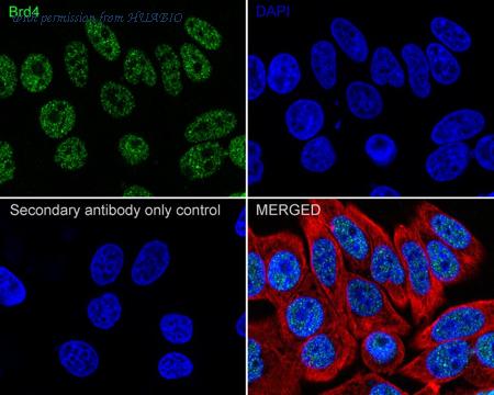 HUABIO HA722785 image 2