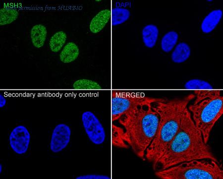 HUABIO HA722829 image 3