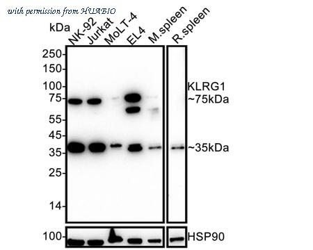 HUABIO HA722859 image 1