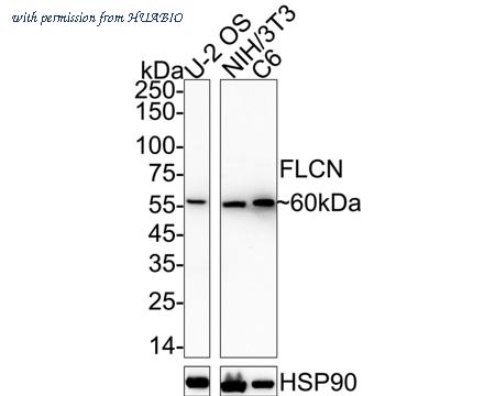 HUABIO HA722883 image 1