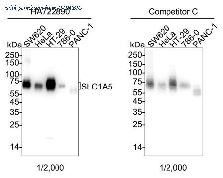HUABIO HA722890 image 1