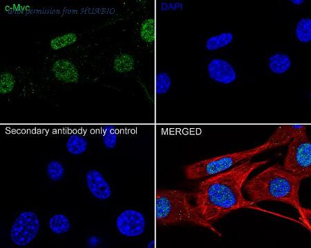 HUABIO HA722895 image 3