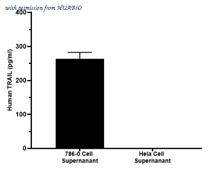 HUABIO HA722943 image 3