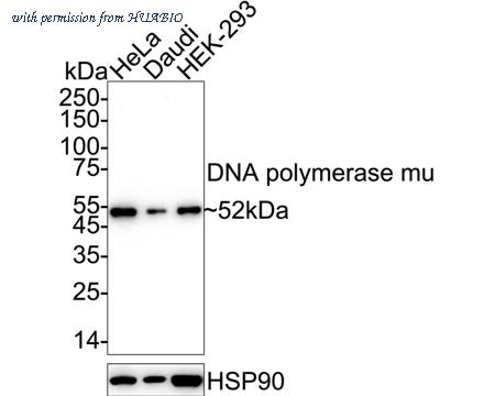 HUABIO HA723027 image 1