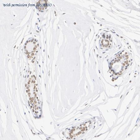 HUABIO HA723073 image 2